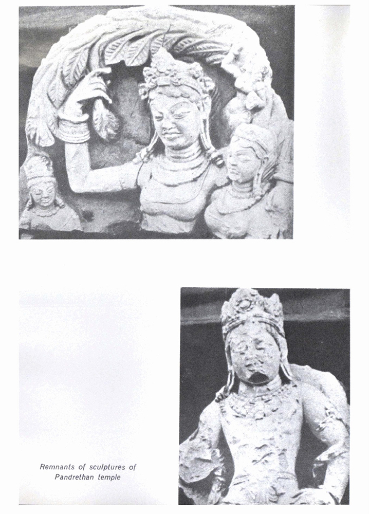 Sample Page 1